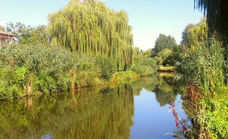 Újszegedi Holt-Maros