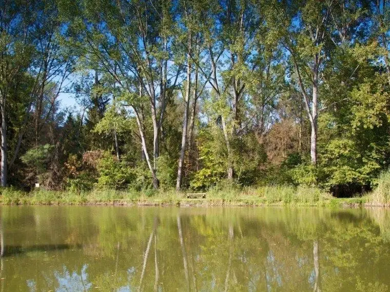 Vasvári Csónakázó-tó