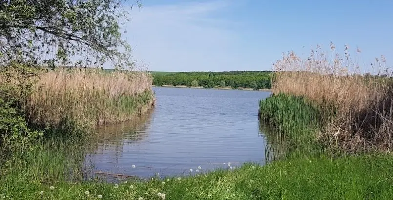 Aranykapu Horgásztó