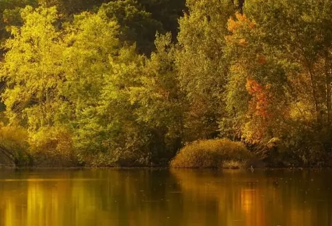 Zámolyi Víztározó