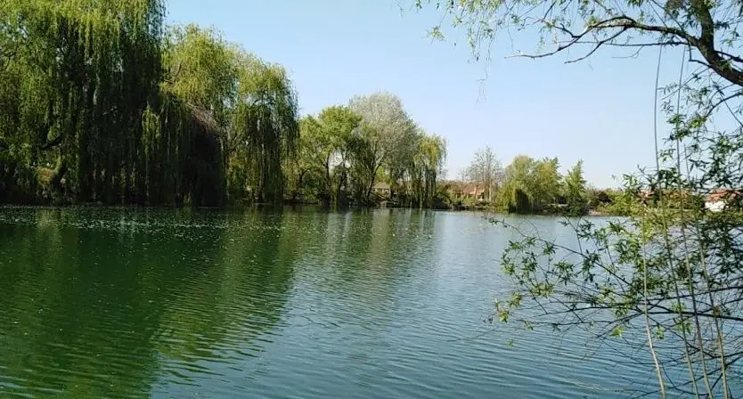 Vámosszabadi kavicsbányató