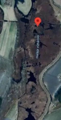 Bodzás és Halápi víztározó