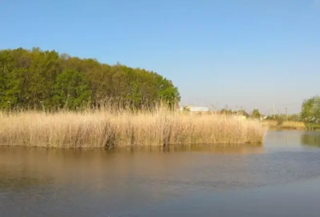 Sárostókerti horgásztó