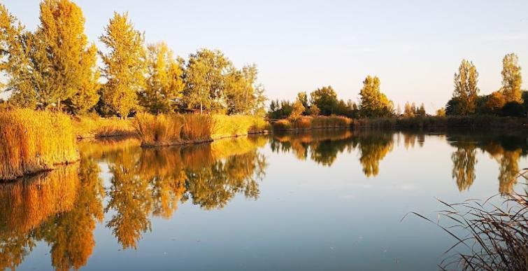 Boldogi-tó