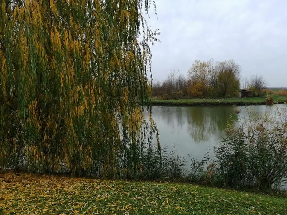 Kiserdő Horgásztó