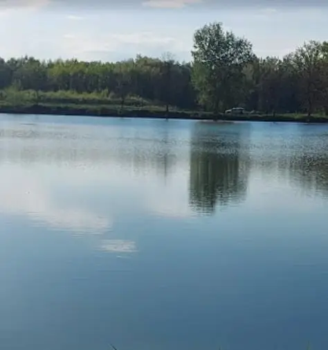 Bagger-tó I.-II. és Fás-tó (Beled)