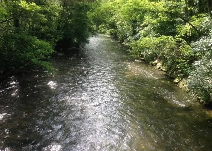 Canale Roggia Mora FT Novara Rosso