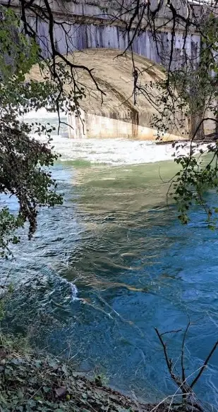 Milano - Fiume Ticino- Bernate sopra Ticino - Boffalora