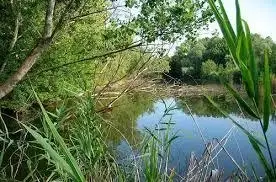 Cave di Casale sul Sile Piccola