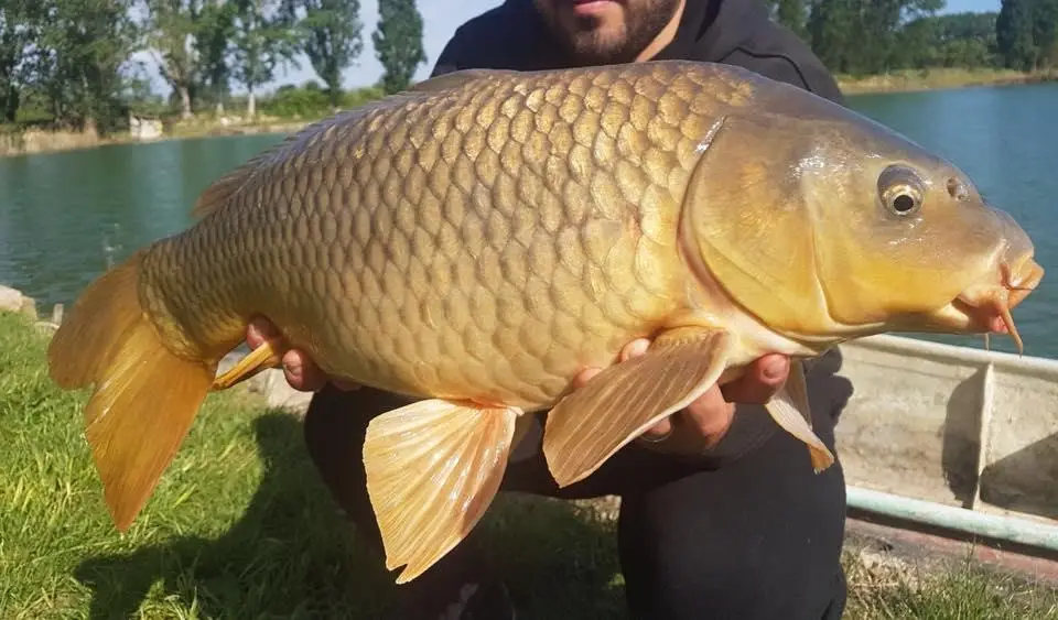 Lago Oasi (San Donato)