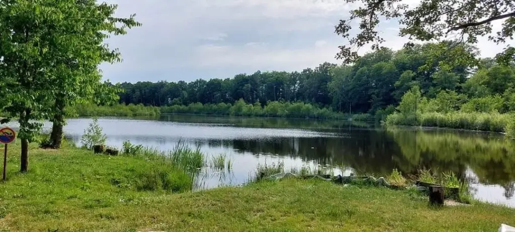 Łowisko specjalne „Dąbrówka” Koła PZW „Okoń” Damno