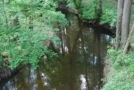Rzeka Bukówka