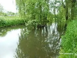 Rzeka Bolemka