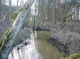 Rzeka Gulczanka