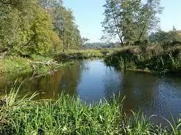 Rzeka Łobżonka