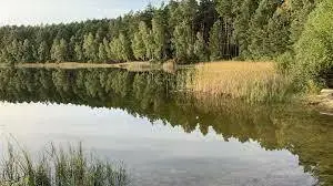 Jezioro Bagienko II