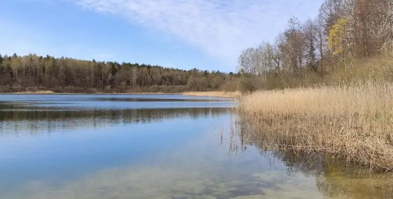Jezioro Borówno Małe
