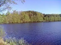 Jezioro Chojnackie (Chojnowe)