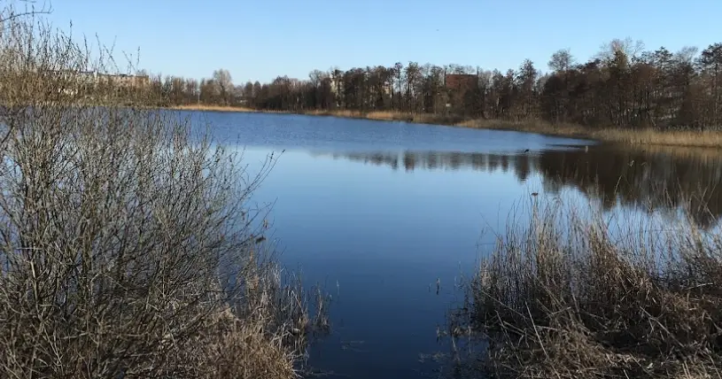 Jezioro Jabłowo (Jabłowskie)