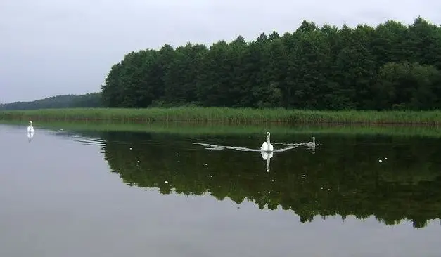 Wędkarstwo Jezioro Brajnickie