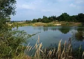 Żwirownia Gniazdów