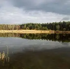 Myszków Staw nr 1