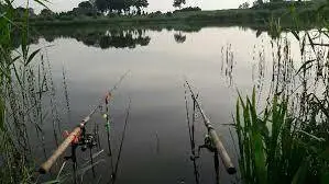 Strzelce Wielkie Staw D