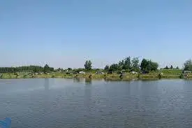 Strzelce Wielkie Staw E