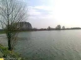 Strzelce Wielki Staw C