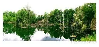 Staw Przeworno (Strużyna)