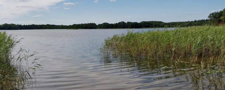 Jezioro Wilczkowo