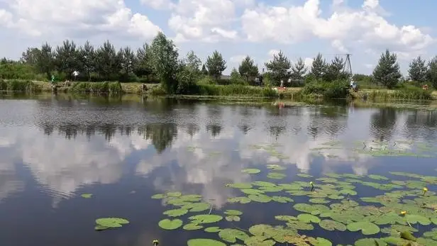 Zbiornik „Pod Młynem”