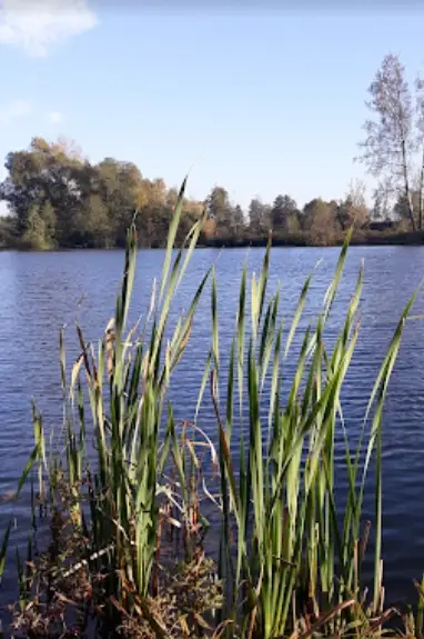 Łowisko Żwirownia Zwięczyca