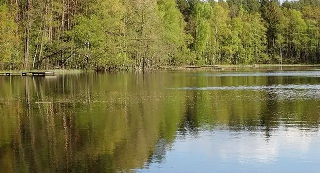 Jezioro Polnickie (Kątki)