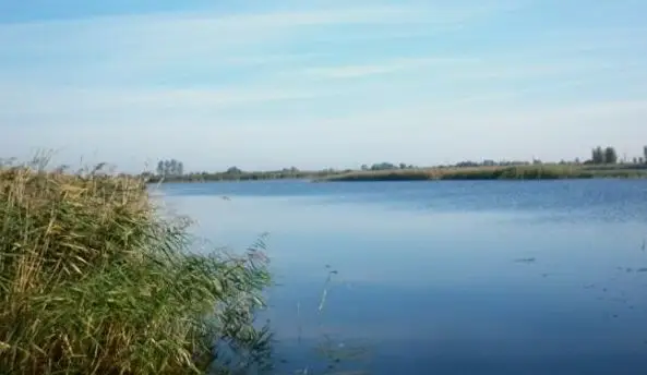 Jezioro Kaniewskie