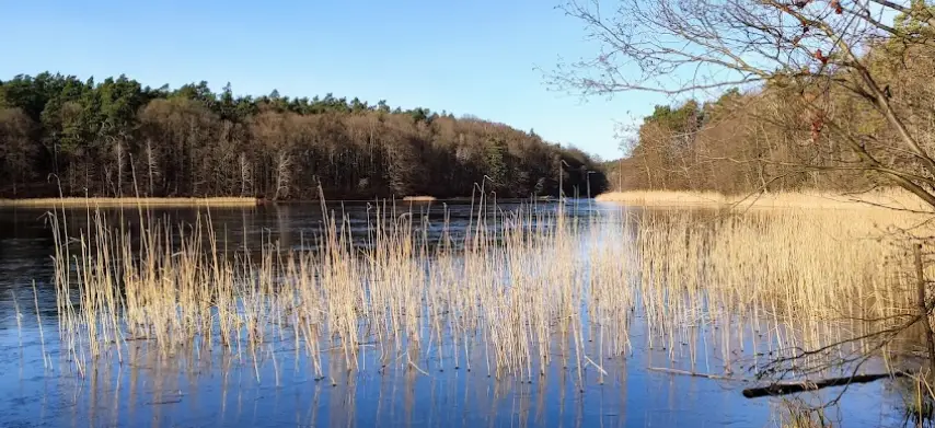 Jezioro Zduńskie