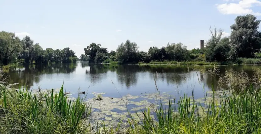 Wędkarstwo Jezioro Czerskie