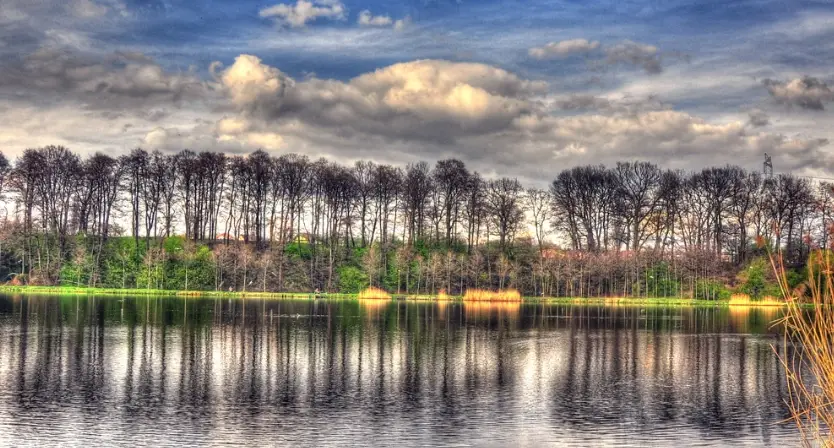 Łowisko specjalne Bażyna