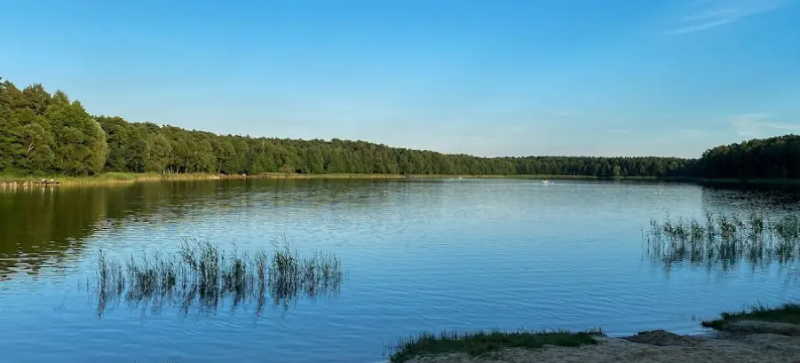 Jezioro Skrzyneckie
