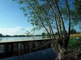 Jezioro Szumiłowo