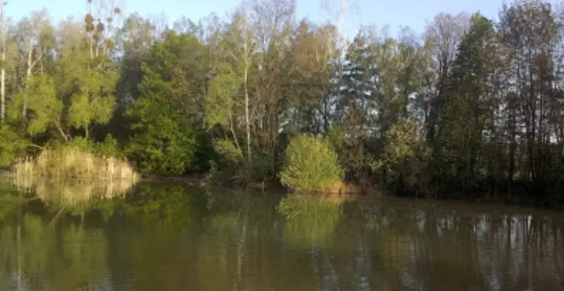 Dąbrowa – wyrobisko