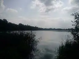 Jezioro Cielęta