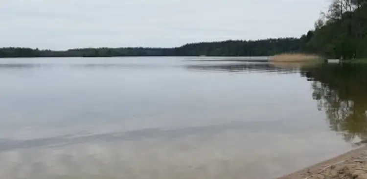 Jezioro Wielkie Partęczyny