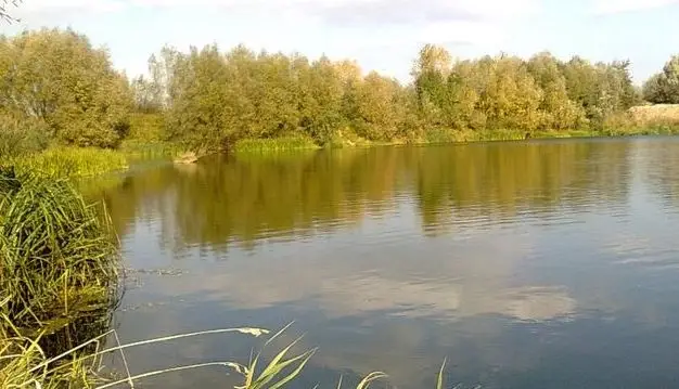 Stawy Bobrowniki Wielkie