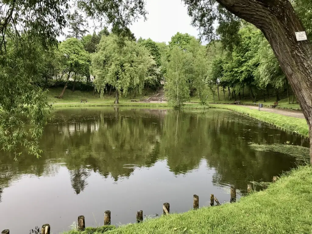 Staw przy ul. Gdańskiej