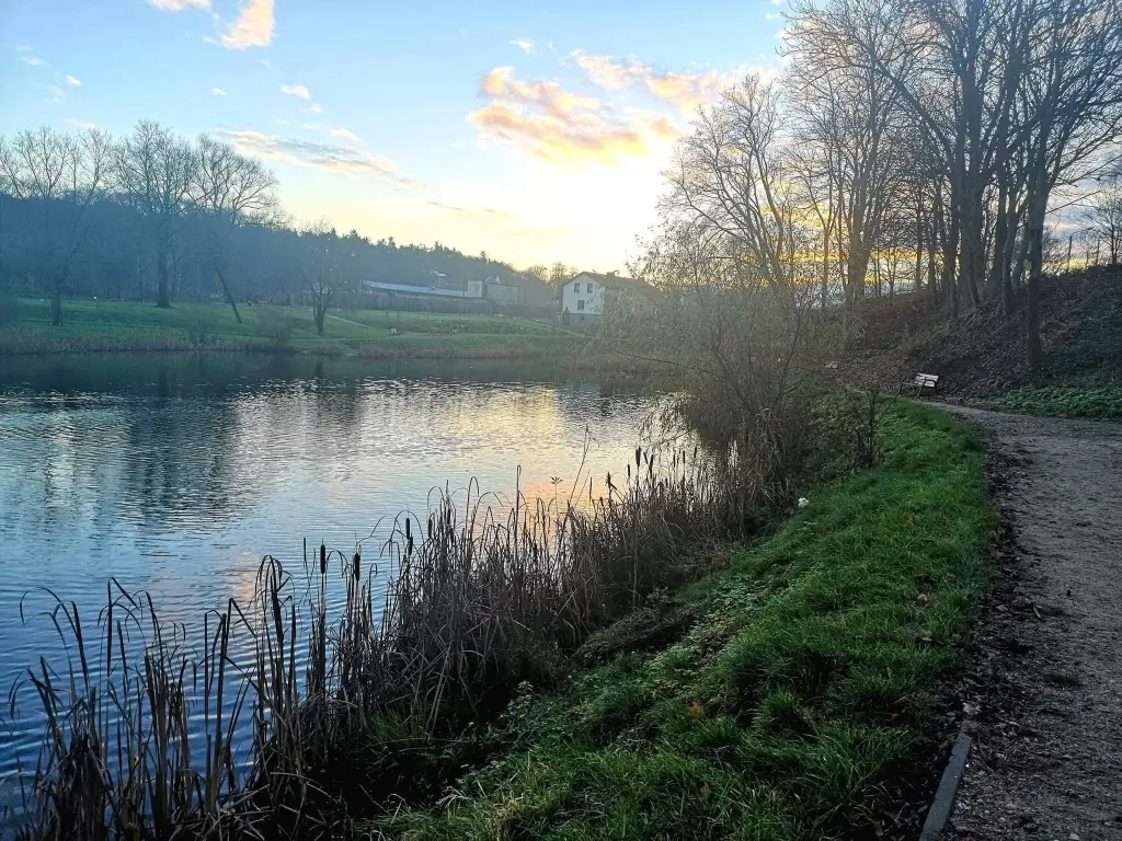 Staw przy ul. Pułaskiego