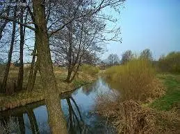 Rzeka Czarna Przemsza z dopływami