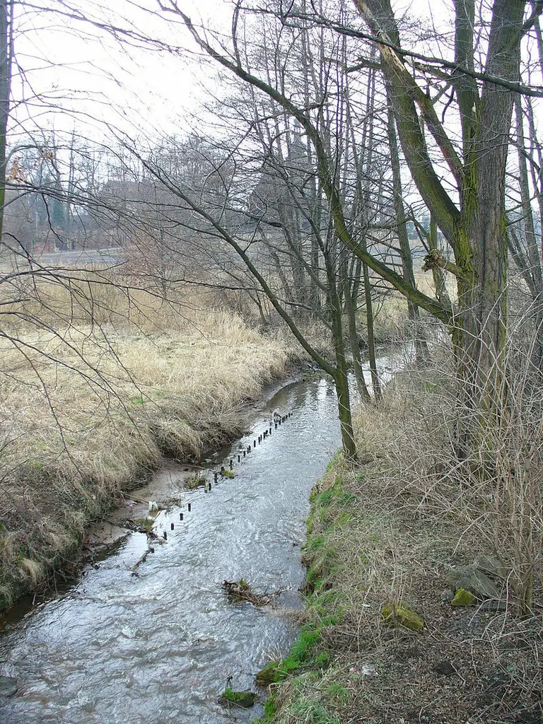 Rzeka Bierawka z dopływami