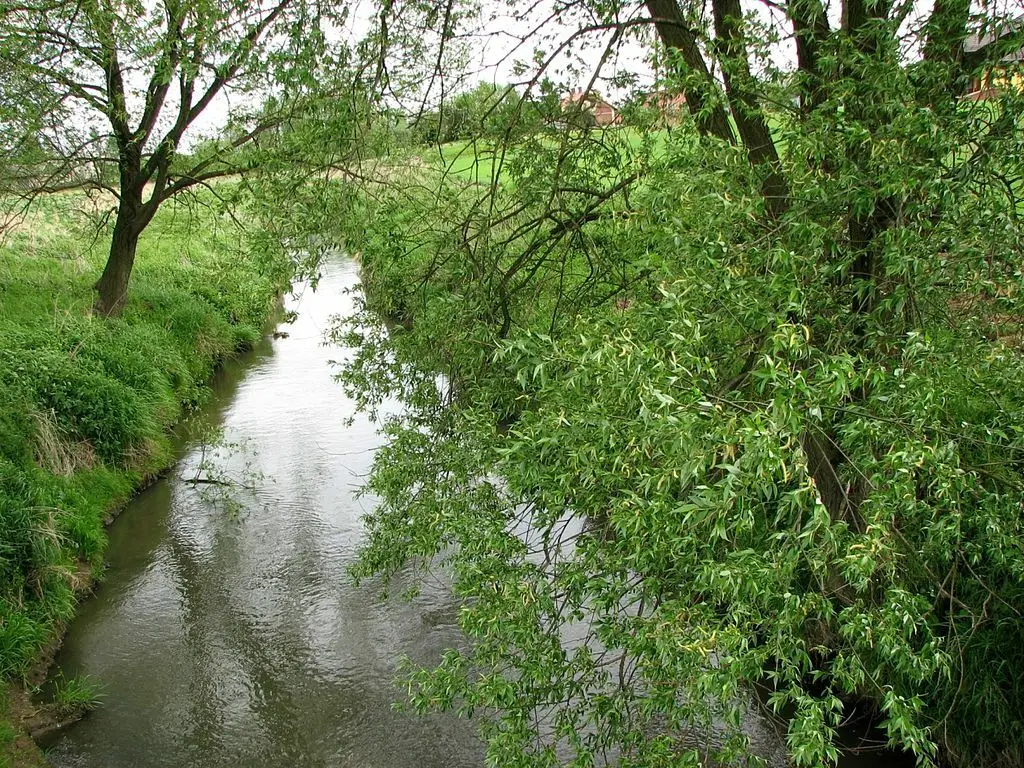 Rzeka Pietrówka z dopływami
