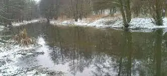 Obwód rzeki Lutynia nr.1